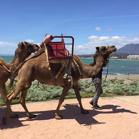 Casa Cachita 2-confortable Estudio A Pie De Playa *