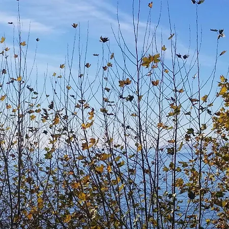 Casa Cachita 2-confortable Estudio A Pie De Playa *