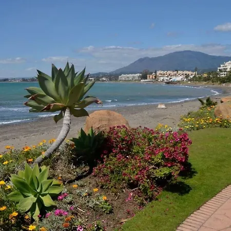 Casa Cachita 2-confortable Estudio A Pie De Playa Lejlighed