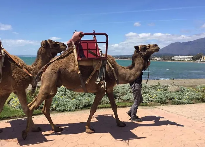 Casa Cachita 2-confortable Estudio A Pie De Playa *