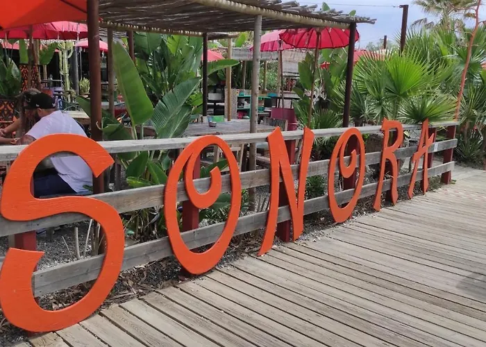 Apartment Casa Cachita 2-confortable Estudio A Pie De Playa *