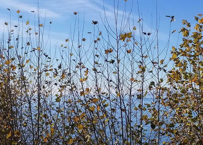 Casa Cachita 2-confortable Estudio A Pie De Playa *