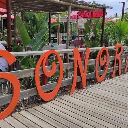 Appartement Casa Cachita 2-confortable Estudio A Pie De Playa *